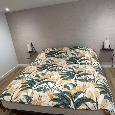 L Escale Bragarde -climatise- Appartement