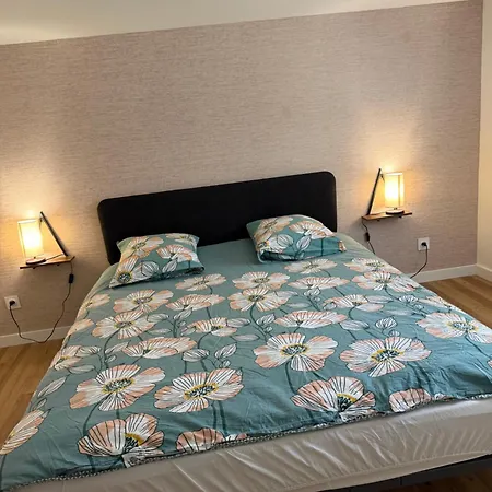 Apartment L Escale Bragarde -climatise- Saint-Dizier